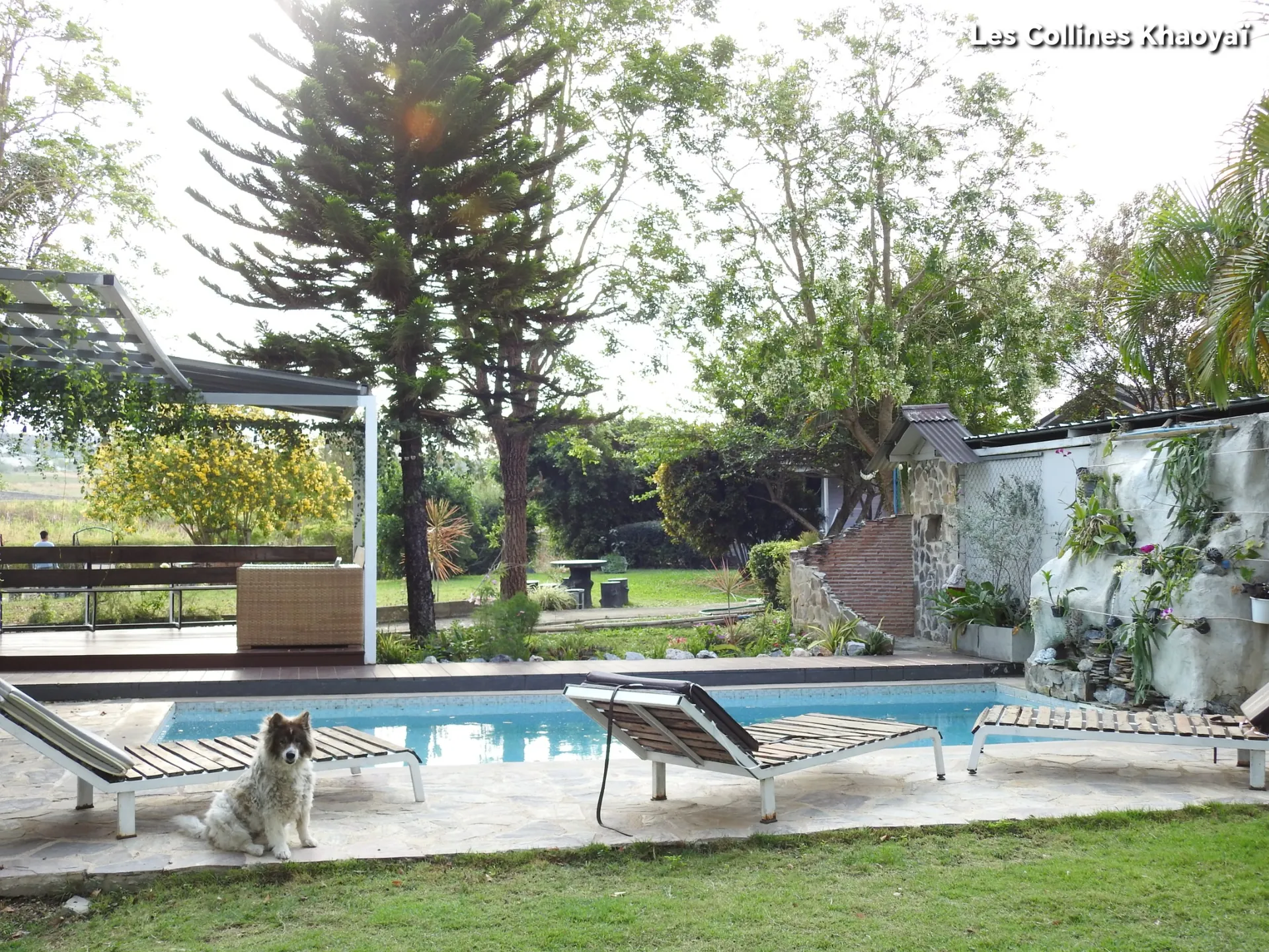 Pool area and estate ambiance