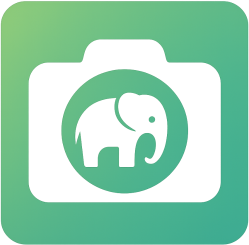 Photos animalières offertes