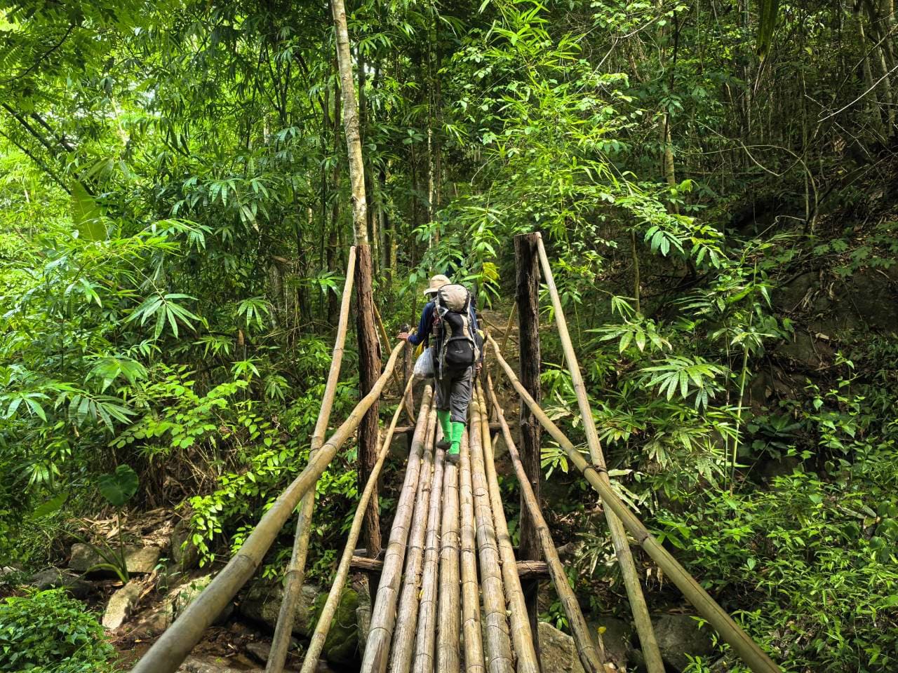 Rations énergétiques et autonomie en jungle