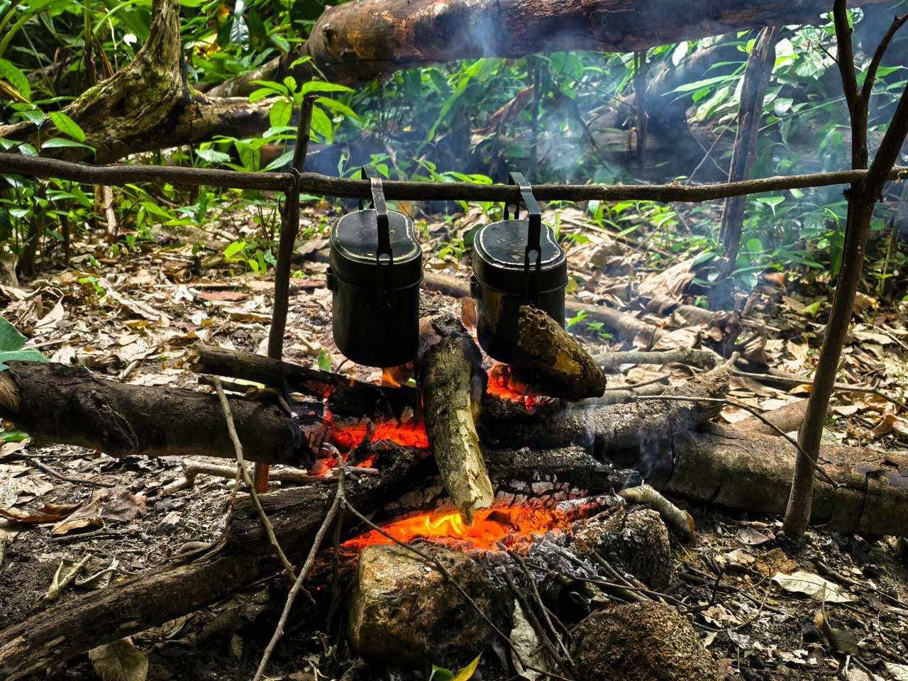 Terrain technique en jungle profonde