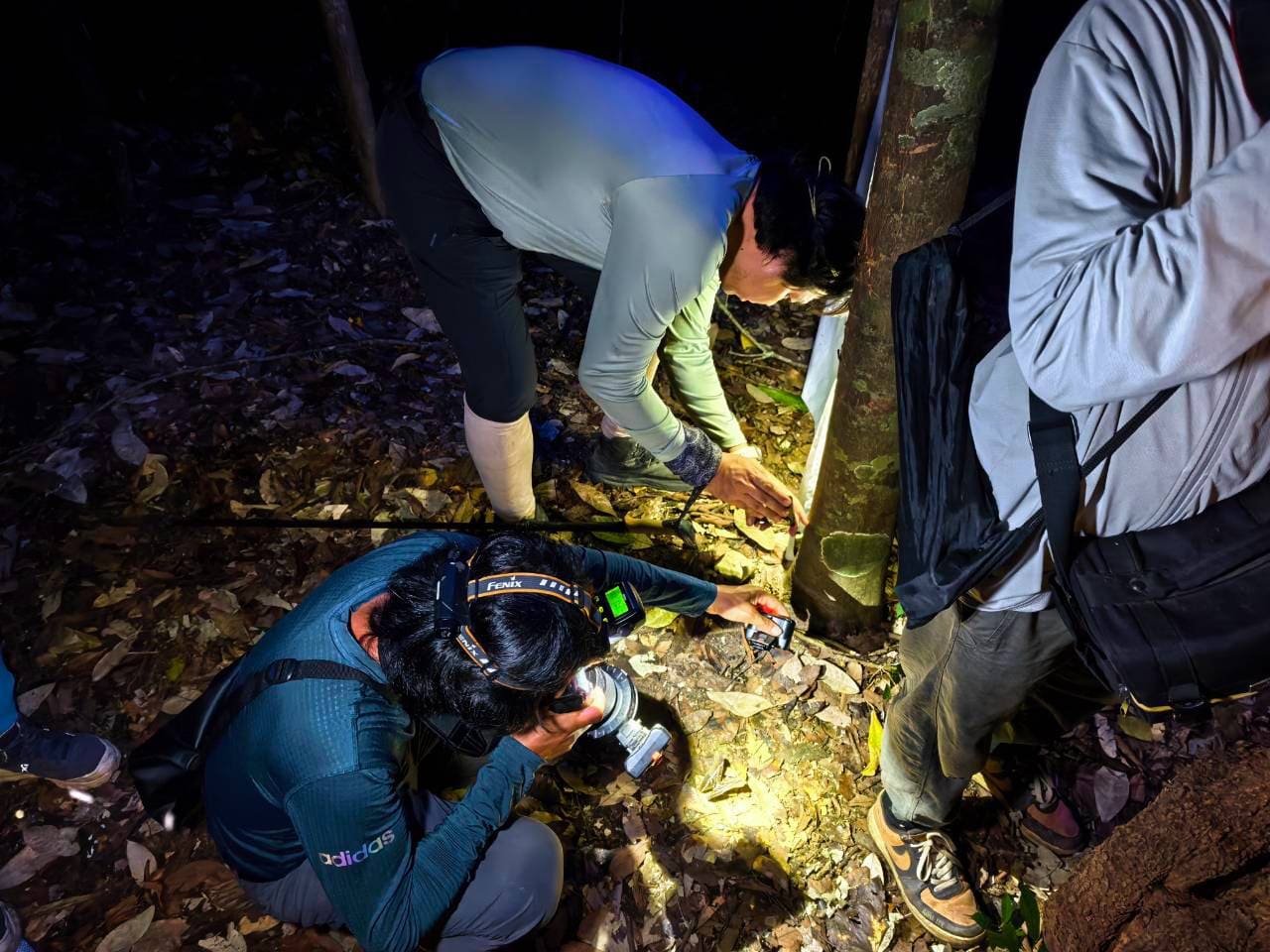 Bivouac de nuit, jungle de Ratchaburi