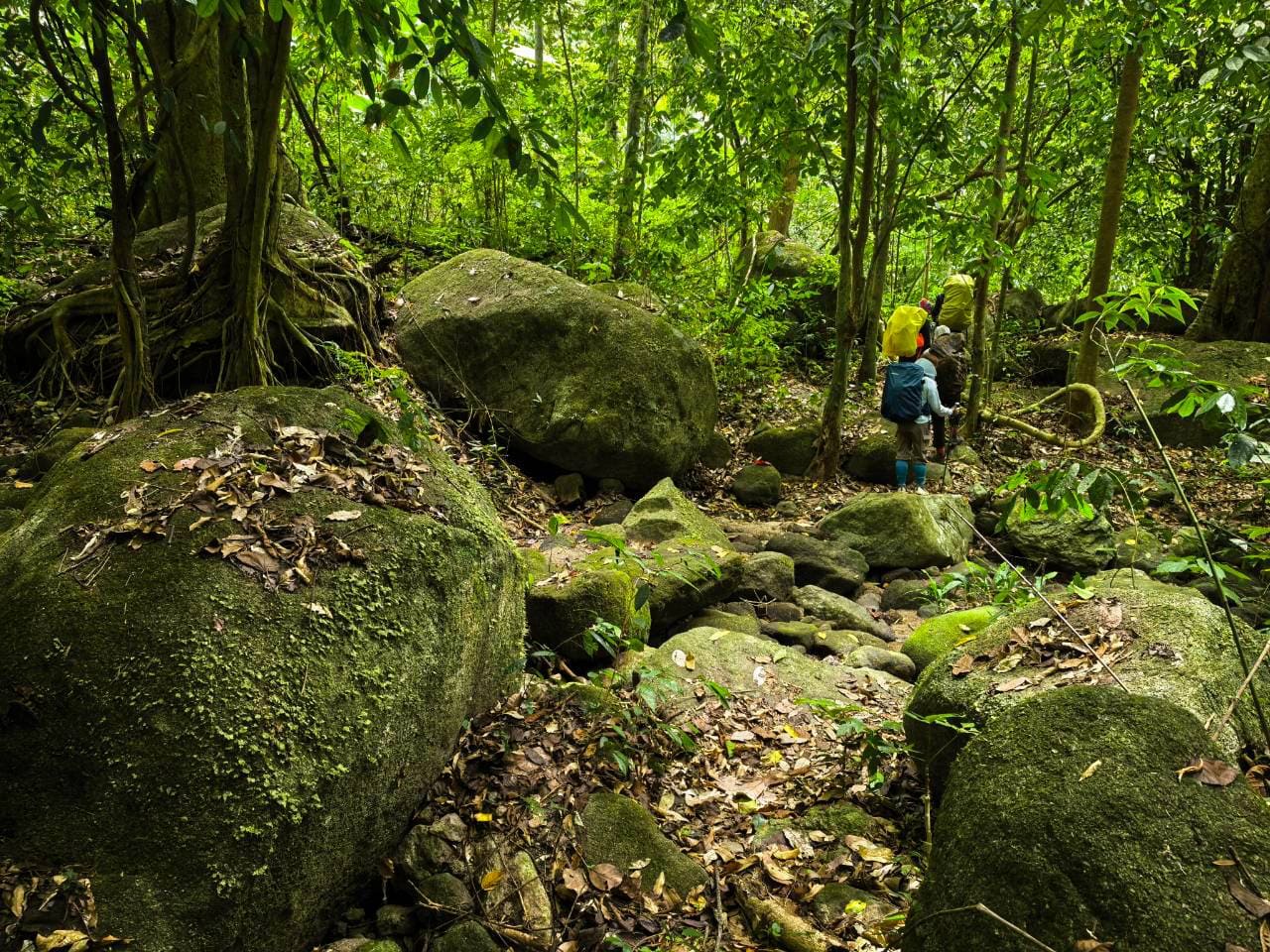 Équipe technique encadrante en jungle