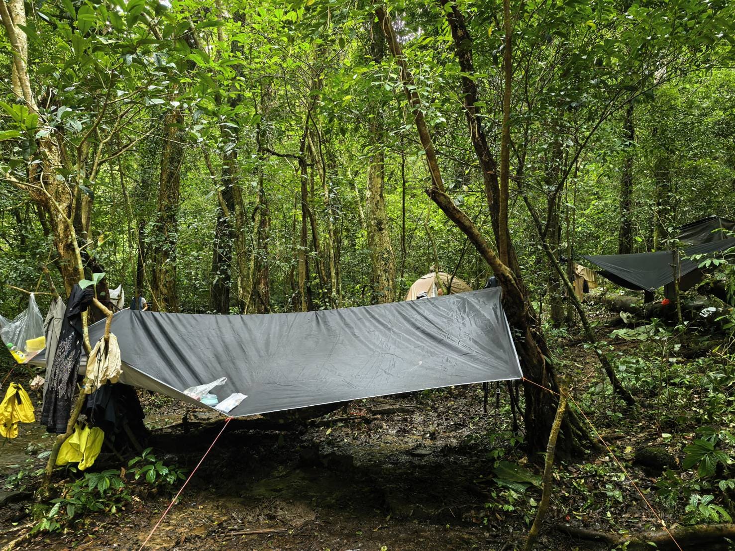 Hamac de bivouac en pleine jungle