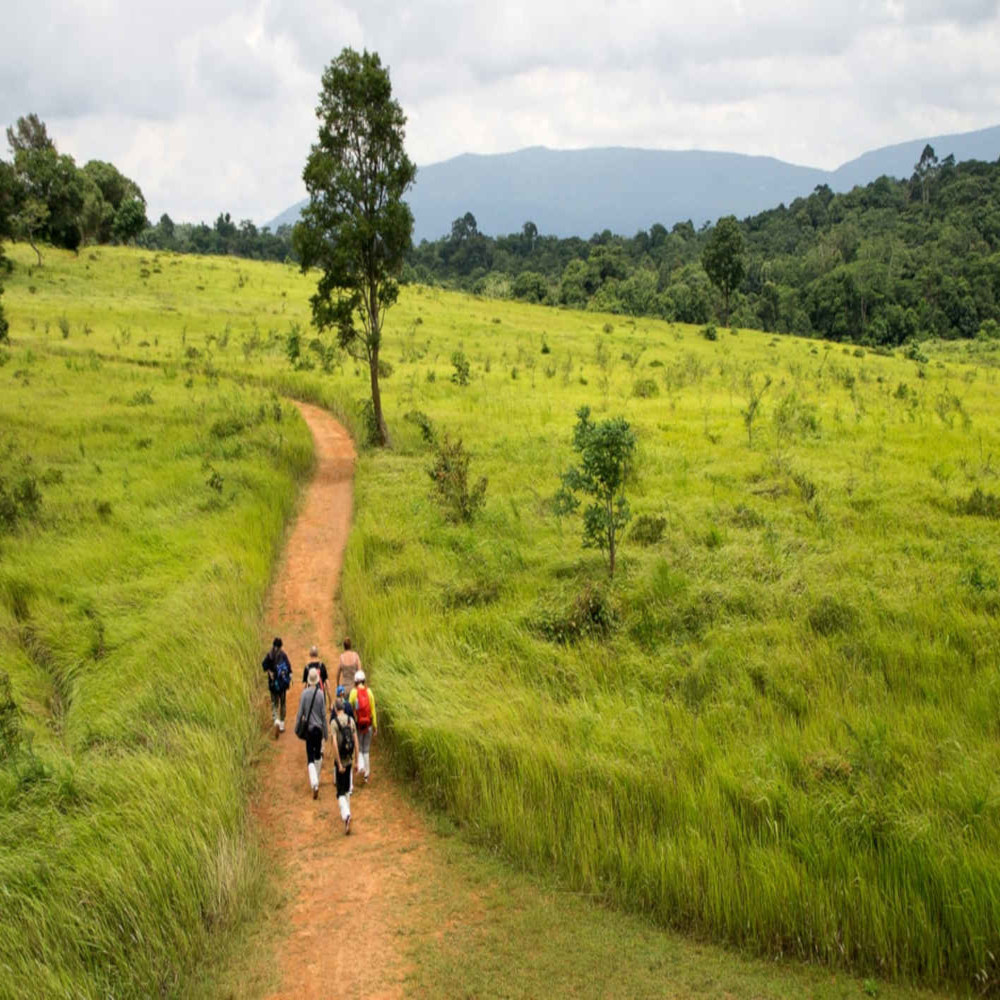 Trek jungle Khao Yai – Les Collines
